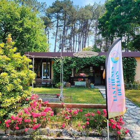 Village Vacances Les Chenes De Léon Exterior foto